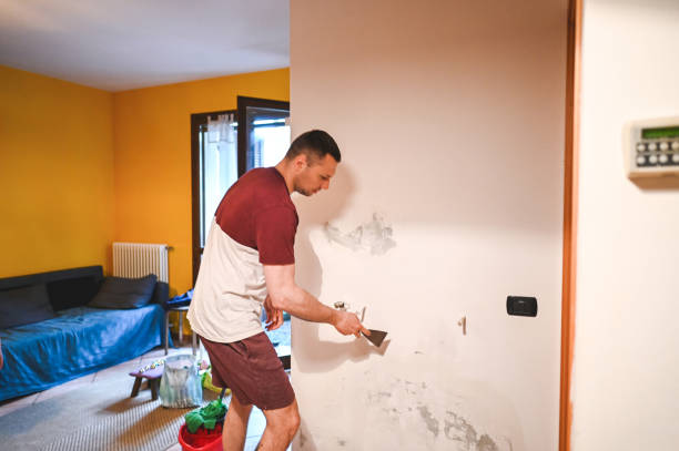 Best Affordable Mold Removal  in Lebanon South, PA