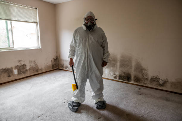 Best Residential Mold Removal  in Lebanon South, PA